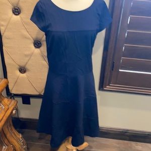 Banana Republic Navy Cap Sleeve Dress